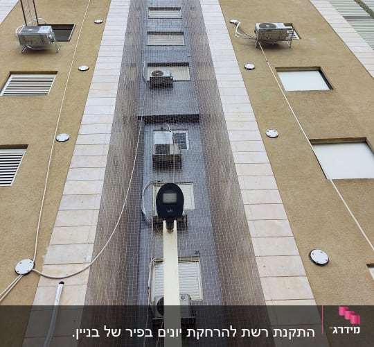 רשת למניעת כניסת יונים בין בניינים